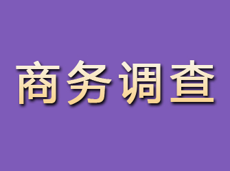 长白商务调查